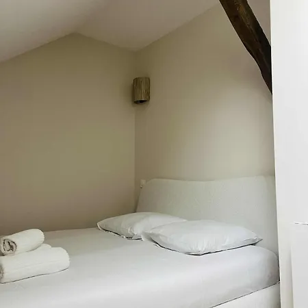 Muraille By Collection Aura - 4p - Hypercentre A Deux Pas De La Place Ducale 아파트 *